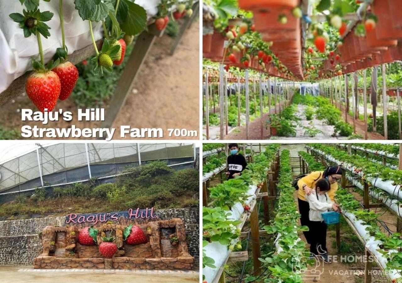 Fe Cozy Cameron Homestay Family 8 Pax 3Br Palas Horizon Brinchang 金马伦民宿 8人3房 Exteriör bild